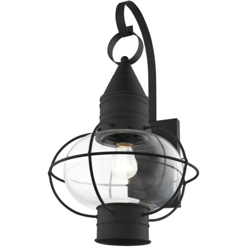 11 inch 1 Light Black Outdoor Wall Lantern Pendant Lighting Fixture with Clear Glass Shade-Lighting LumensLantern