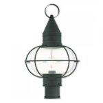 1 Light Black Outdoor Post Lantern Pendant Lighting Fixture with Clear Glass Shade-Lighting LumensLantern