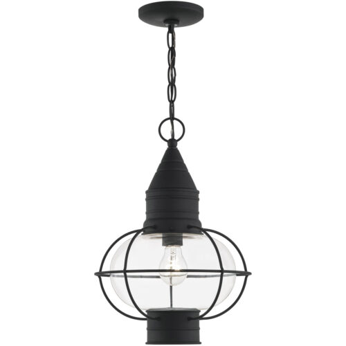 1 Light Black Outdoor Chain Lantern Pendant Lighting Fixture with Clear Glass Shade-Lighting LumensLantern