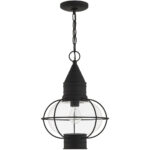 1 Light Black Outdoor Chain Lantern Pendant Lighting Fixture with Clear Glass Shade-Lighting LumensLantern