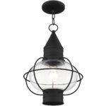 1 Light Black Outdoor Chain Lantern Pendant Lighting Fixture with Clear Glass Shade-Lighting LumensLantern