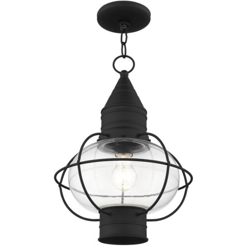 1 Light Black Outdoor Chain Lantern Pendant Lighting Fixture with Clear Glass Shade-Lighting LumensLantern