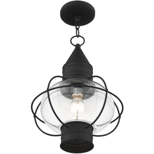 1 Light Black Outdoor Chain Lantern Pendant Lighting Fixture with Clear Glass Shade-Lighting LumensLantern