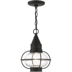 26910-04 1 Light Black Outdoor Pendant Lantern-Lighting LumensLantern