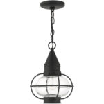 26910-04 1 Light Black Outdoor Pendant Lantern-Lighting LumensLantern