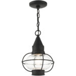 26910-04 1 Light Black Outdoor Pendant Lantern-Lighting LumensLantern