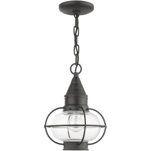 26910-61 1 Light Charcoal Outdoor Pendant Lantern-Lighting LumensLantern