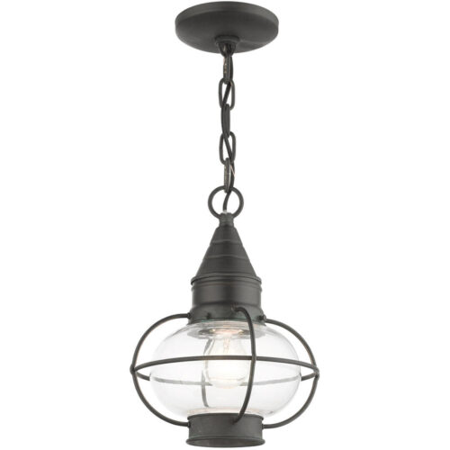 26910-61 1 Light Charcoal Outdoor Pendant Lantern-Lighting LumensLantern