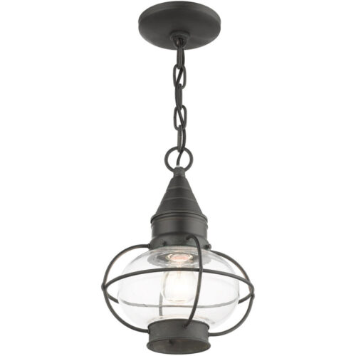 26910-61 1 Light Charcoal Outdoor Pendant Lantern-Lighting LumensLantern