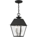 27217-04 2 Light Black Outdoor Pendant Lantern-Lighting LumensLantern