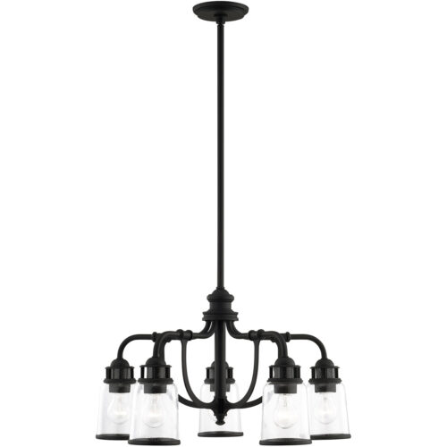 5 Light Black Chandelier with Hand Blown Clear Seeded Glass Shade-Lighting LumensChandeliers