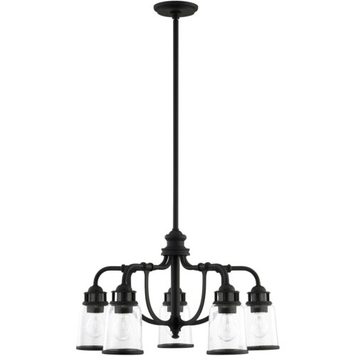 5 Light Black Chandelier with Hand Blown Clear Seeded Glass Shade-Lighting LumensChandeliers