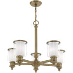 5 Light Antique Brass Chandelier with Clear Glass & Satin Opal White Glass Shade-Lighting LumensChandeliers