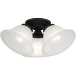 40727-04 3 Light Black Flush Mount-Lighting LumensBath/Flush Mounts