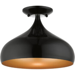 41050-68 1 Light Shiny Black Semi-Flush Mount-Lighting LumensSemi Flush