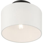 41095-04 1 Light Black Semi Flush-Lighting LumensSemi Flush