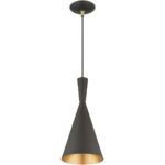 41185-07 1 Light Bronze Pendant with Antique Brass Finish Accents-Lighting LumensPendant Lights