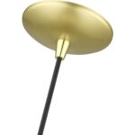 41185-33 1 Light Soft Gold Pendant with Polished Brass Finish Accents-Lighting LumensPendant Lights