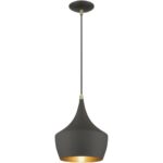 41186-07 1 Light Bronze Pendant with Antique Brass Finish Accents-Lighting LumensPendant Lights