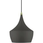 41186-07 1 Light Bronze Pendant with Antique Brass Finish Accents-Lighting LumensPendant Lights