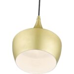 41186-33 1 Light Soft Gold Pendant with Polished Brass Finish Accents-Lighting LumensPendant Lights