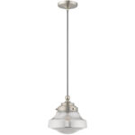 1 Light Brushed Nickel Mini Pendant with Smoke Glass Shade-Lighting LumensPendant Lights