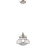 1 Light Brushed Nickel Mini Pendant with Smoke Glass Shade-Lighting LumensPendant Lights