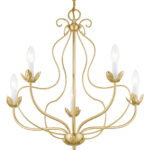 42905-33 5 Light Soft Gold Chandelier-Lighting LumensChandeliers