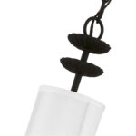 42981-04 1 Light Black Mini Pendant-Lighting LumensPendant Lights