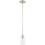 1 Light Brushed Nickel Pendant with Clear Glass Shade-Lighting LumensPendant Lights