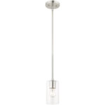 1 Light Brushed Nickel Pendant with Clear Glass Shade-Lighting LumensPendant Lights