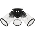 45503-04 3 Light Black  Flush Mount-Lighting LumensBath/Flush Mounts