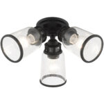 45503-04 3 Light Black  Flush Mount-Lighting LumensBath/Flush Mounts