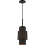 45612-04 1 Light Black Pendant-Lighting LumensPendant Lights