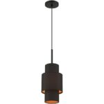 45612-04 1 Light Black Pendant-Lighting LumensPendant Lights