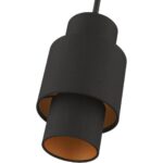 45612-04 1 Light Black Pendant-Lighting LumensPendant Lights