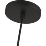 45612-04 1 Light Black Pendant-Lighting LumensPendant Lights