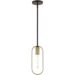 45761-07 1 Light Bronze with Antique Brass Accents Pendant-Lighting LumensPendant Lights