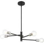 45865-04 5 Light Black Chandelier-Lighting LumensChandeliers