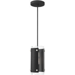 1 Light Black Mini Pendant with Clear Glass Shade-Lighting LumensPendant Lights