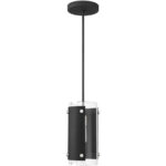 1 Light Black Mini Pendant with Clear Glass Shade-Lighting LumensPendant Lights