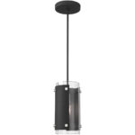 1 Light Black Mini Pendant with Clear Glass Shade-Lighting LumensPendant Lights