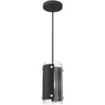 1 Light Black Mini Pendant with Clear Glass Shade-Lighting LumensPendant Lights