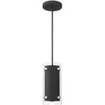 1 Light Black Mini Pendant with Clear Glass Shade-Lighting LumensPendant Lights