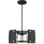 6 Light Black Pendant Chandelier with Clear Glass Shade-Lighting LumensChandeliers