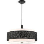 46255-04 5 Light Black Chandelier-Lighting LumensChandeliers