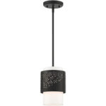 46259-04 1 Light Black Pendant-Lighting LumensPendant Lights