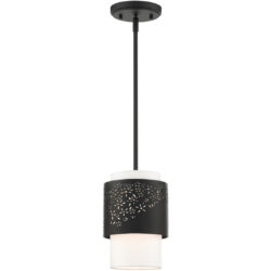 46259-04 1 Light Black Pendant-Lighting LumensPendant Lights