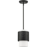 46259-04 1 Light Black Pendant-Lighting LumensPendant Lights