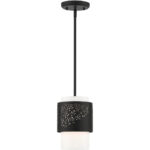 46259-04 1 Light Black Pendant-Lighting LumensPendant Lights